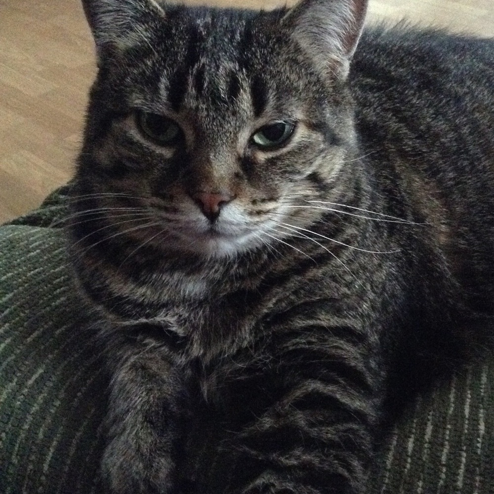 All offers considered!!!